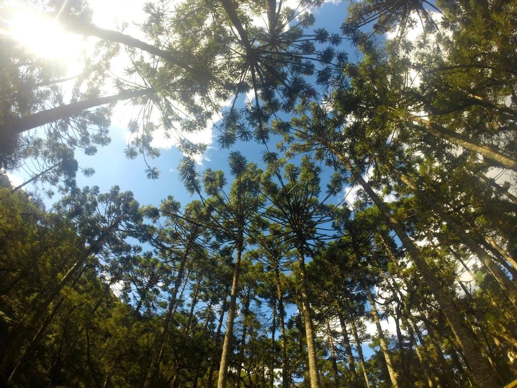 Green Village Hotel Monte Verde  Luaran gambar