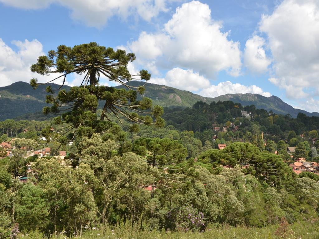 Green Village Hotel Monte Verde  Luaran gambar